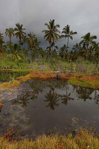 076 Big Island, Kona, Pu'uhonua o Honaunau NP.jpg